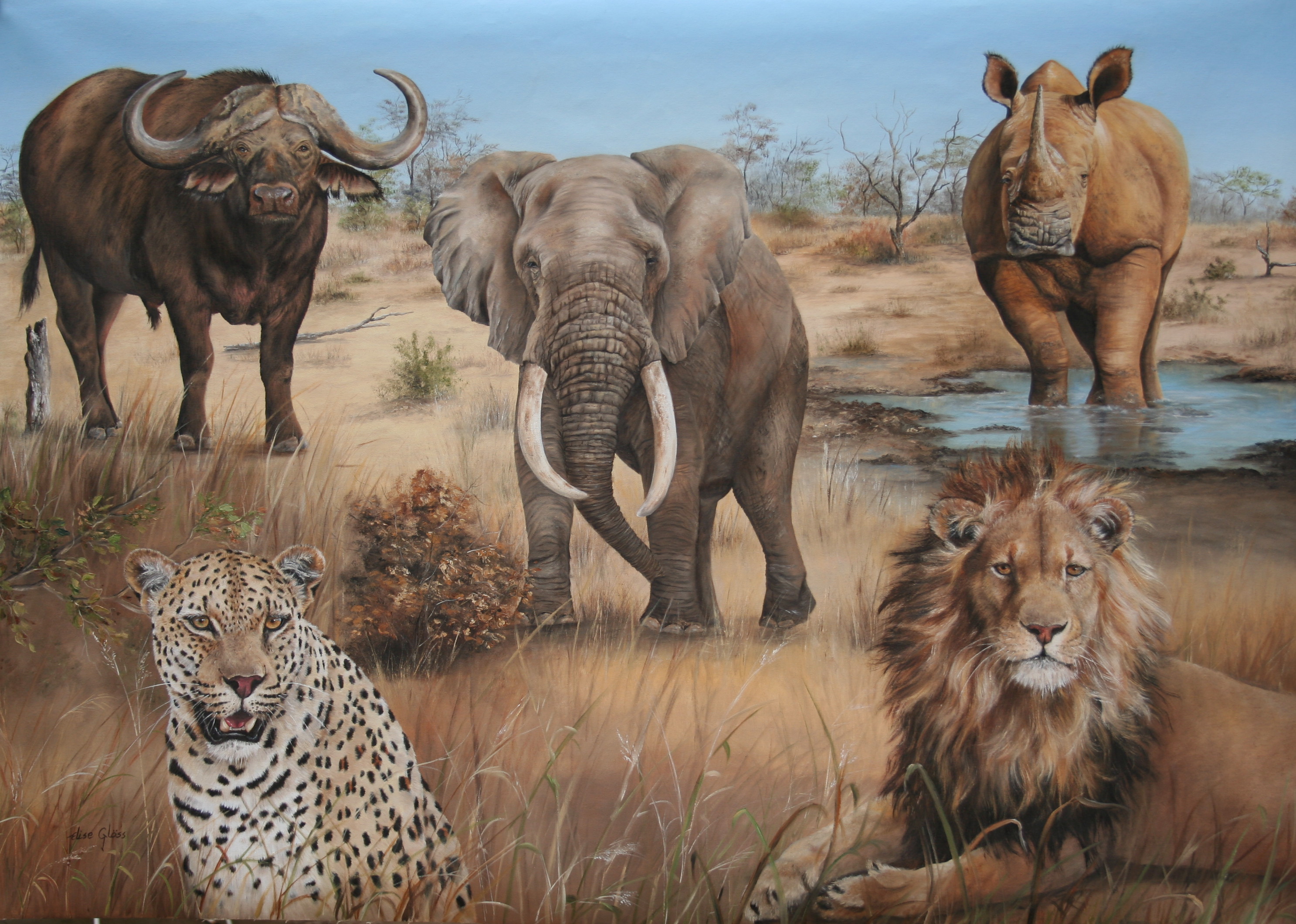 Носороги буйволы слоны обитают. Большая пятерка Африки сафари. Охота сафари Африканская большая пятерка. Большая пятерка животных Африки. Слон буйвол носорог Лев леопард.